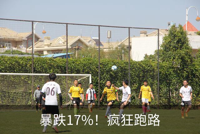 暴跌17%！疯狂跑路
